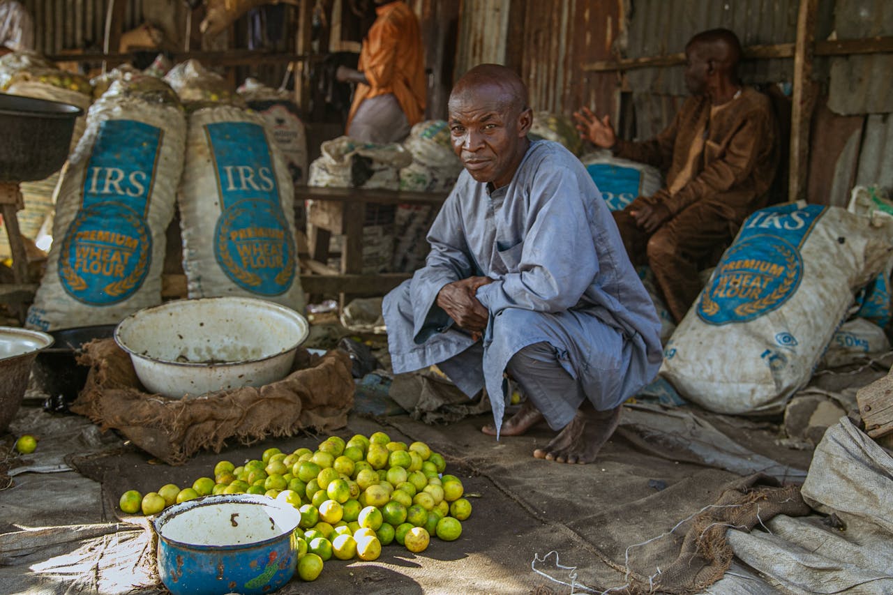 services-04 Daily Hustle: A Lemon dealer in Gumboro market, Maiduguri.